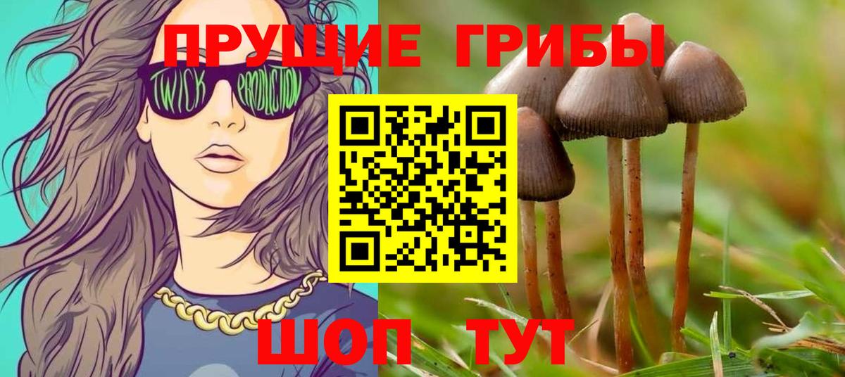 Псилоцибиновые грибы прущие грибы Полысаево