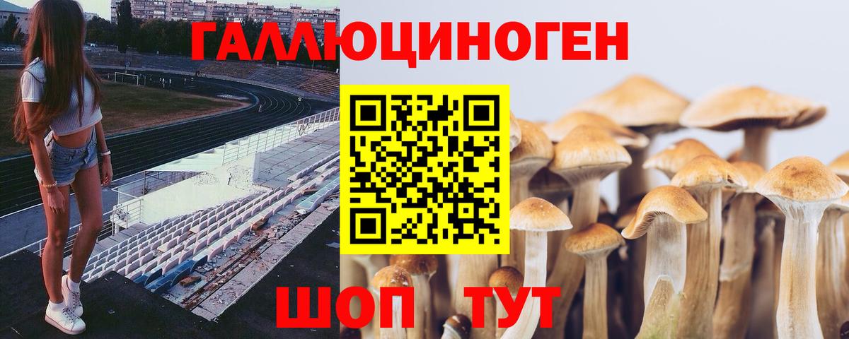 Галлюциногенные грибы Cubensis  Вход с VPN  Полысаево 